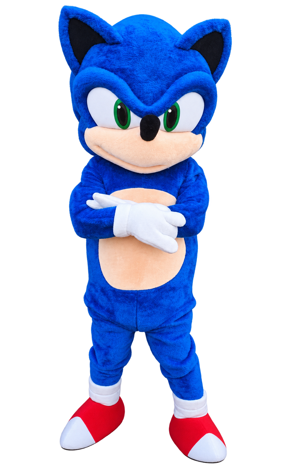 Mascotte Sonic